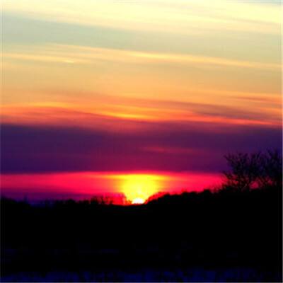 乐鱼(中国)官方网站截图